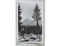 Θέα από Πιρίν Συλλεκτική ποιότητα