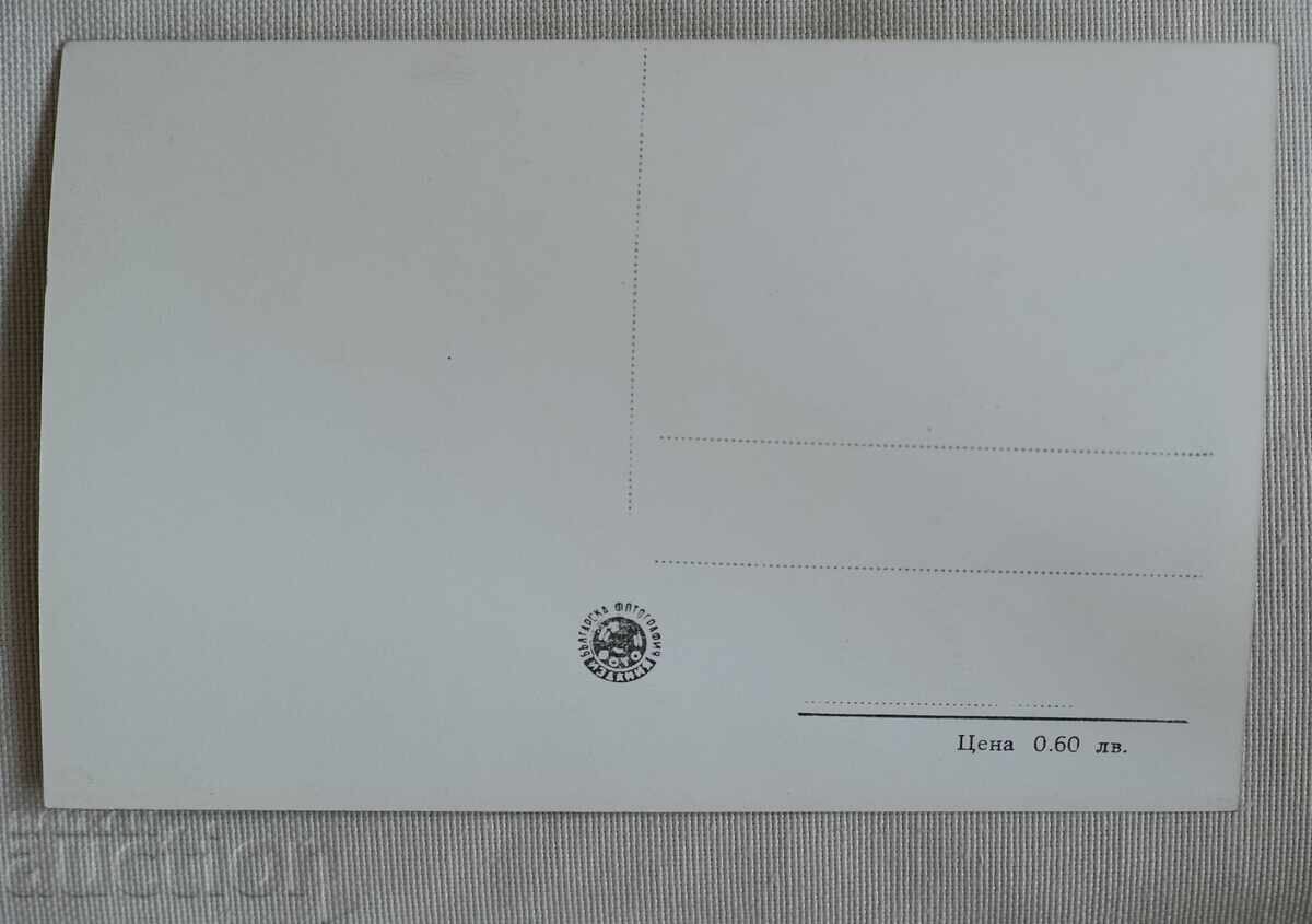 Пирин - Валявишкото езеро с цена 7.00 лв. | € 3.58