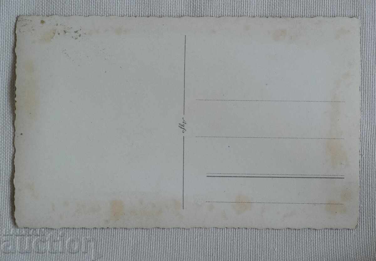 Τίνκο Ρίμπαροφ καλή κατάσταση κηλίδες στην πλάτη με τιμή 10.00 BGN | € 5.11