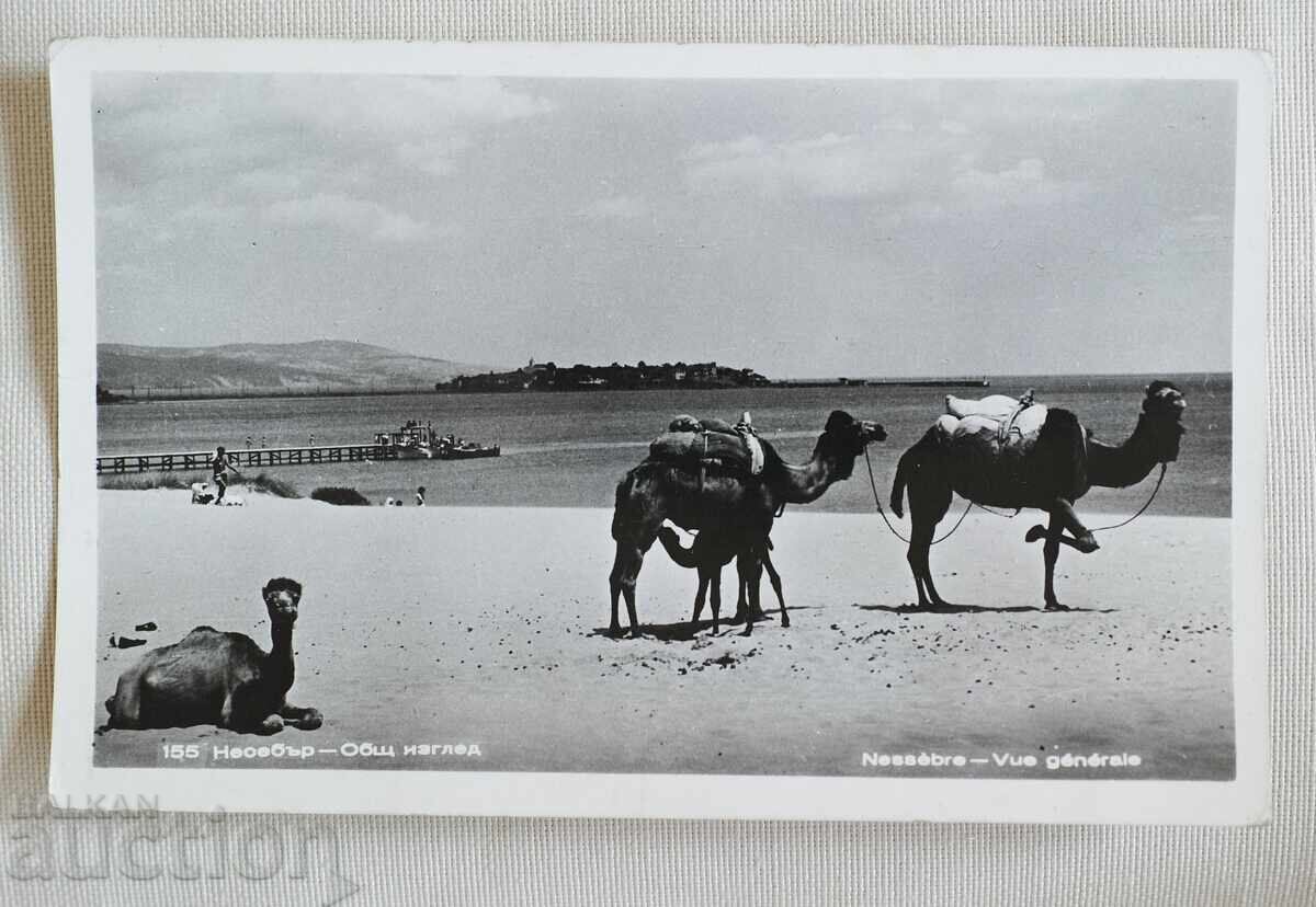 Νέσεμπαρ Γενική θέα