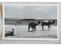 Νέσεμπαρ Γενική θέα