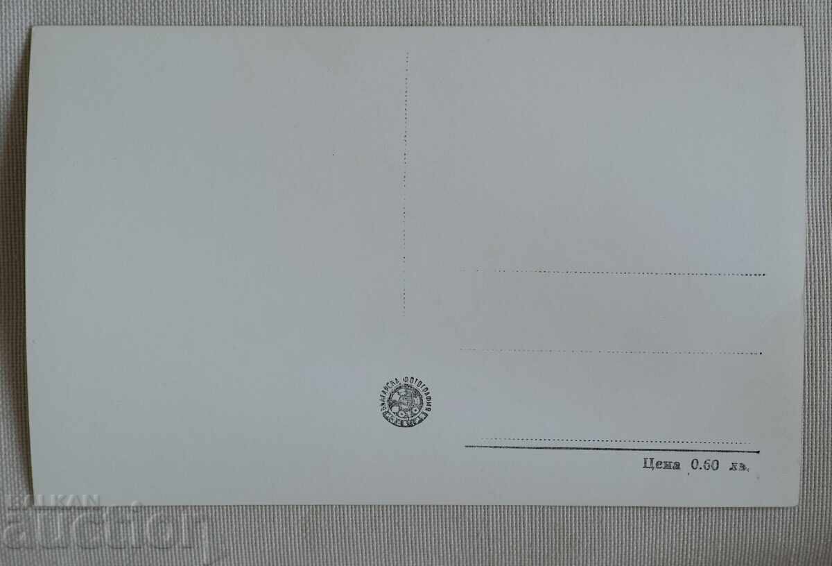 Varna, Nisipurile de Aur cu preț 2.00 BGN | € 1.02