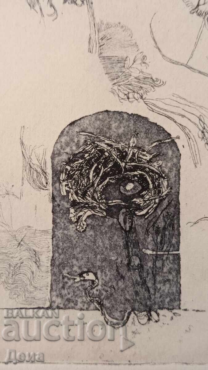 Auction Interesting graphics Auction Interesting graphics