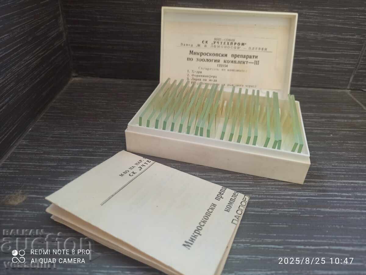 Lame microscopice pentru zoologie hidra foraminifere midii