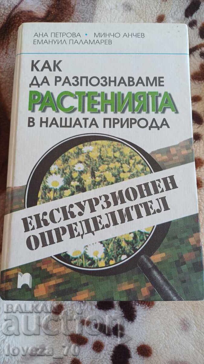 How to recognize plants in our nature