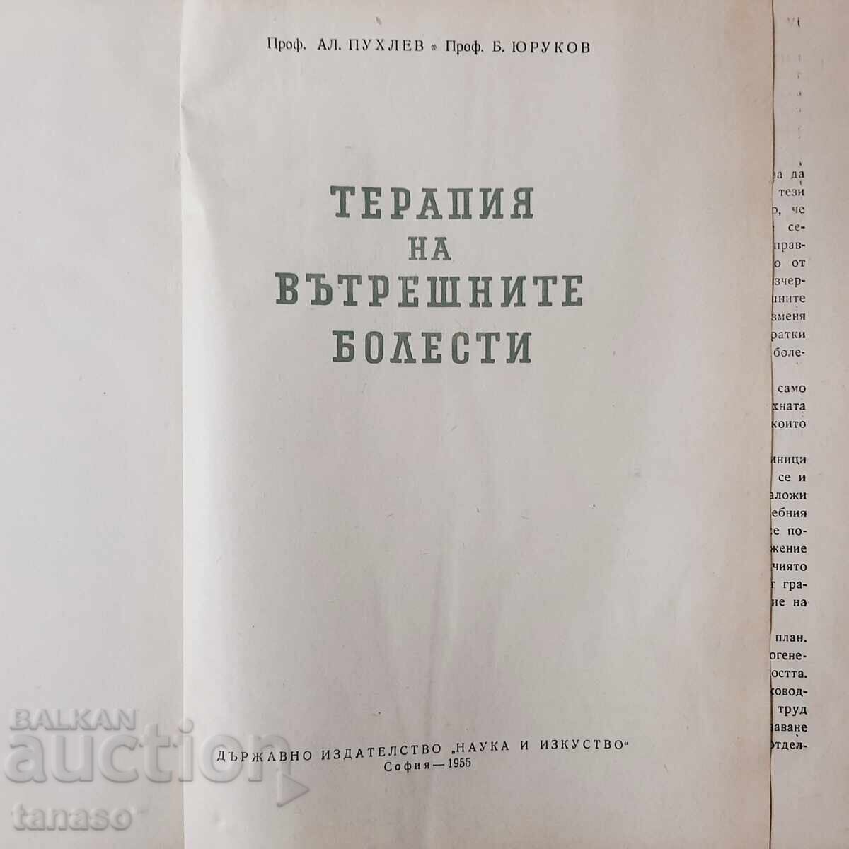 Therapy of internal diseases with price 10.00 BGN | € 5.11