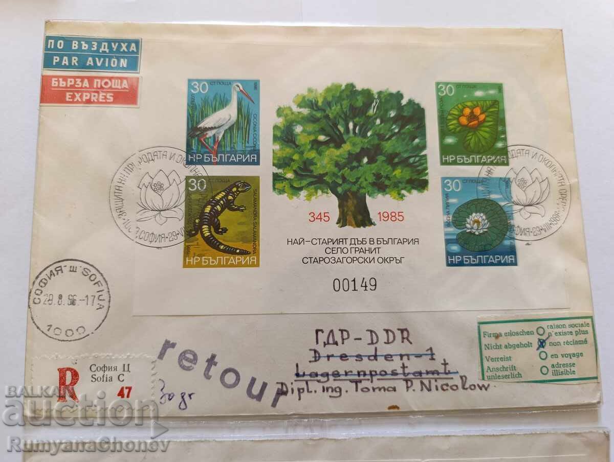 Το παλαιότερο δέντρο βελανιδιάς 1985 με τιμή 28.00 BGN | € 14.32