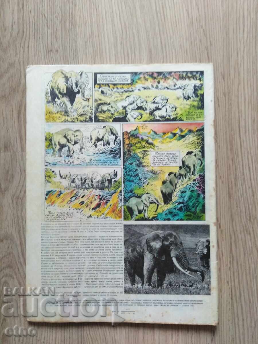 Δημοπρασία ΣΠΙΣΑΝΙΕ ΔŬΓΑ-BROĬ-19, ΚΟΜΙΚΣ, nosiya