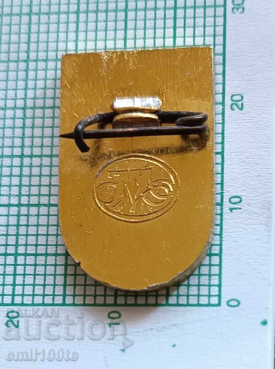 Значка- 100 г. Гимназия град Станке Димитров (Днес Дупница ) - 5