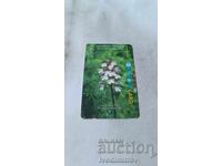 BETKOM Sound Card Bulgarian Orchids Orchis Purpurea