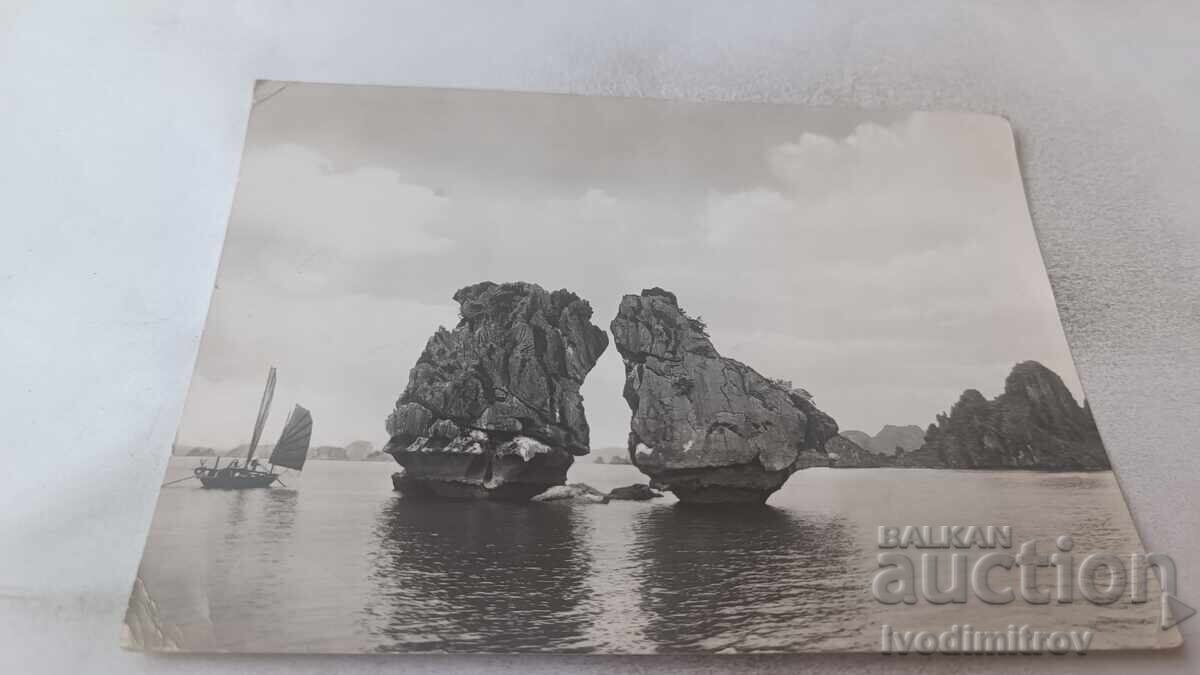 Ταχυδρομική κάρτα Cockfighting Rock-Islet