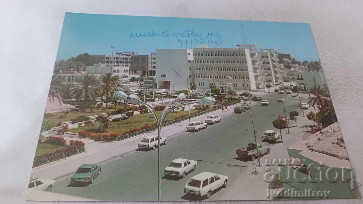 Γενική Θέα της Zavia (Ταχυδρομική Κάρτα) Γενική Θέα της Zavia (Ταχυδρομική Κάρτα)