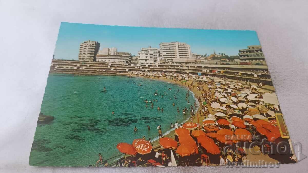 Postcard Alexandria Stanley Beach