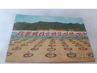 П К Солдаты рыбной промышленности круглы год ловят рыбы