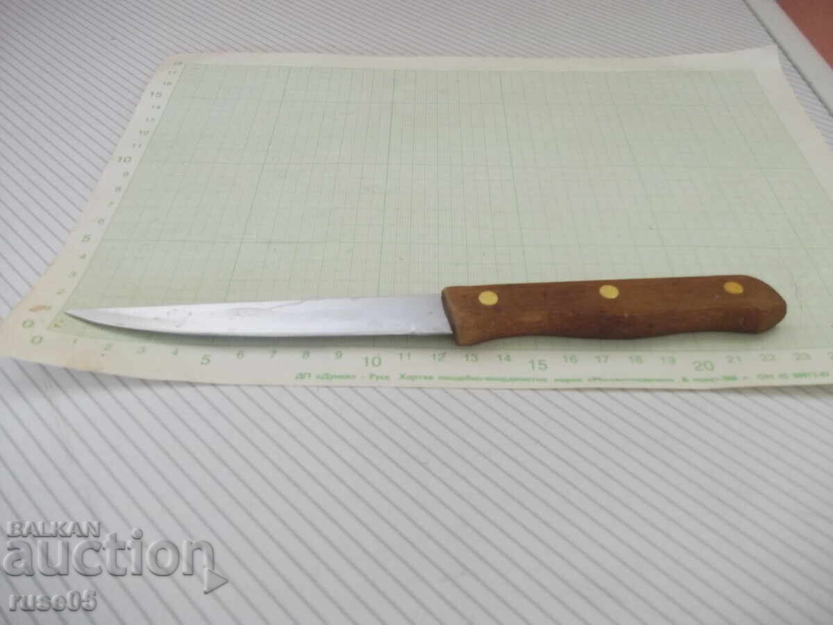 Auction Kitchen knife with a wooden handle Auction Kitchen knife with a wooden handle