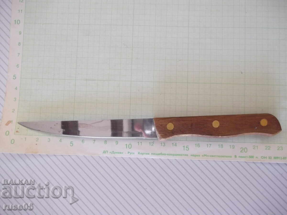 Kitchen knife with a wooden handle Kitchen knife with a wooden handle