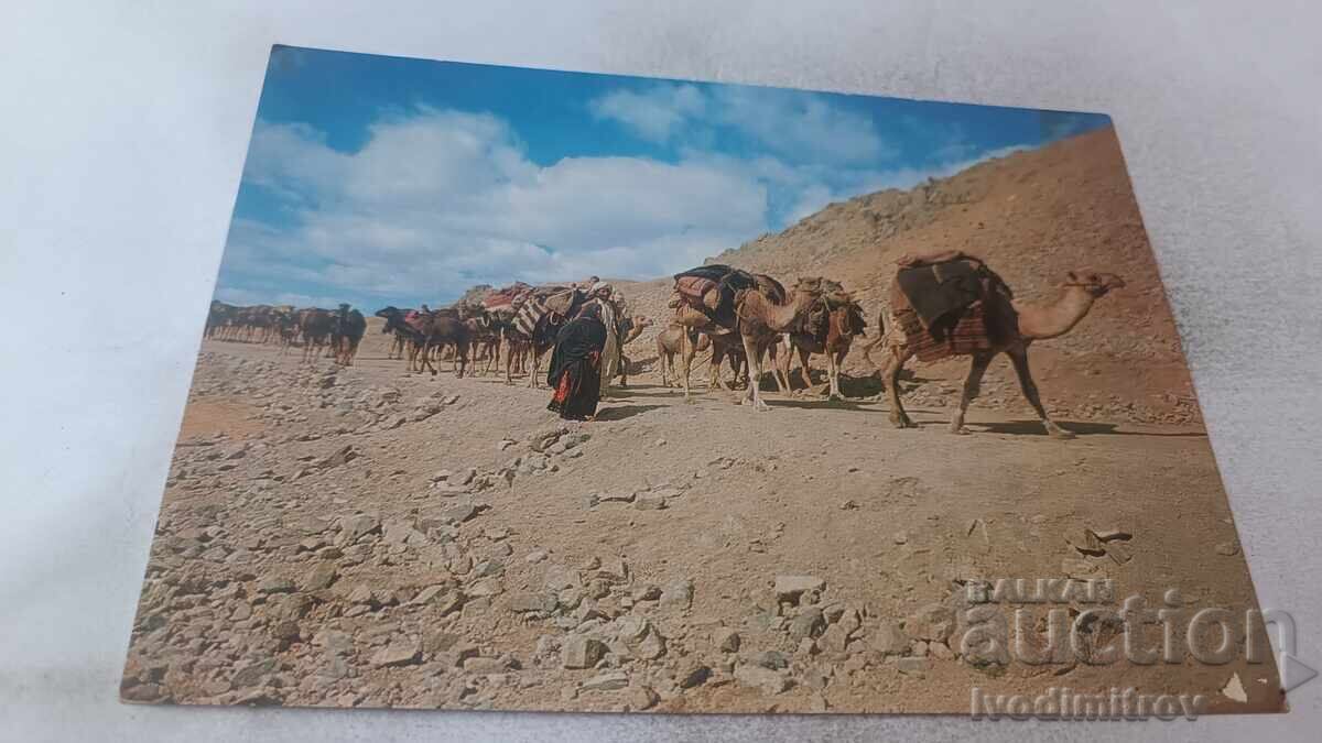Postcard Afghanistan 1968
