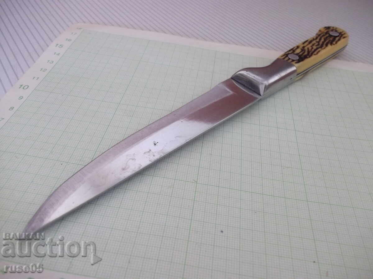 Παράδοση Μαχαίρι "HONG LI" - 1 Παράδοση Μαχαίρι "HONG LI" - 1