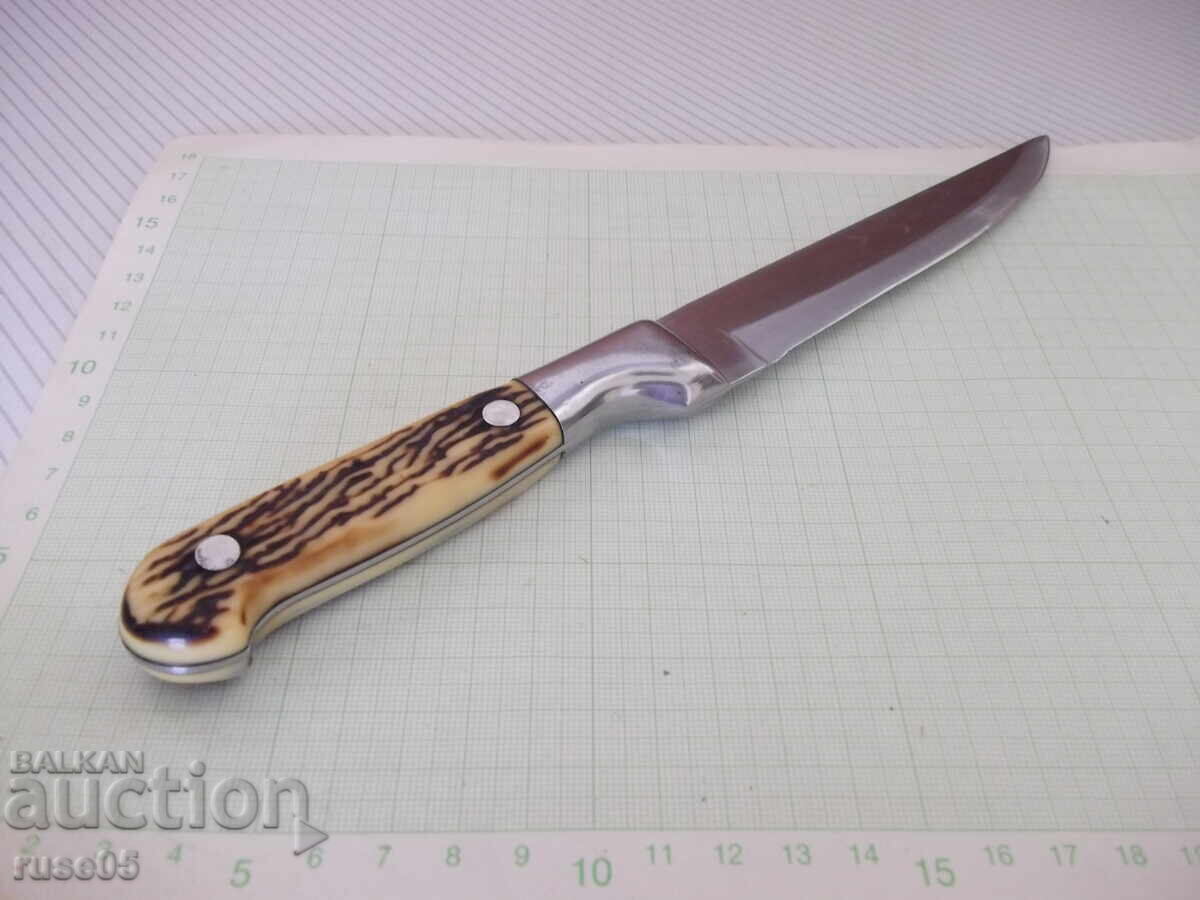 Μαχαίρι "HONG LI" - 1 - 5 Μαχαίρι "HONG LI" - 1 - 5