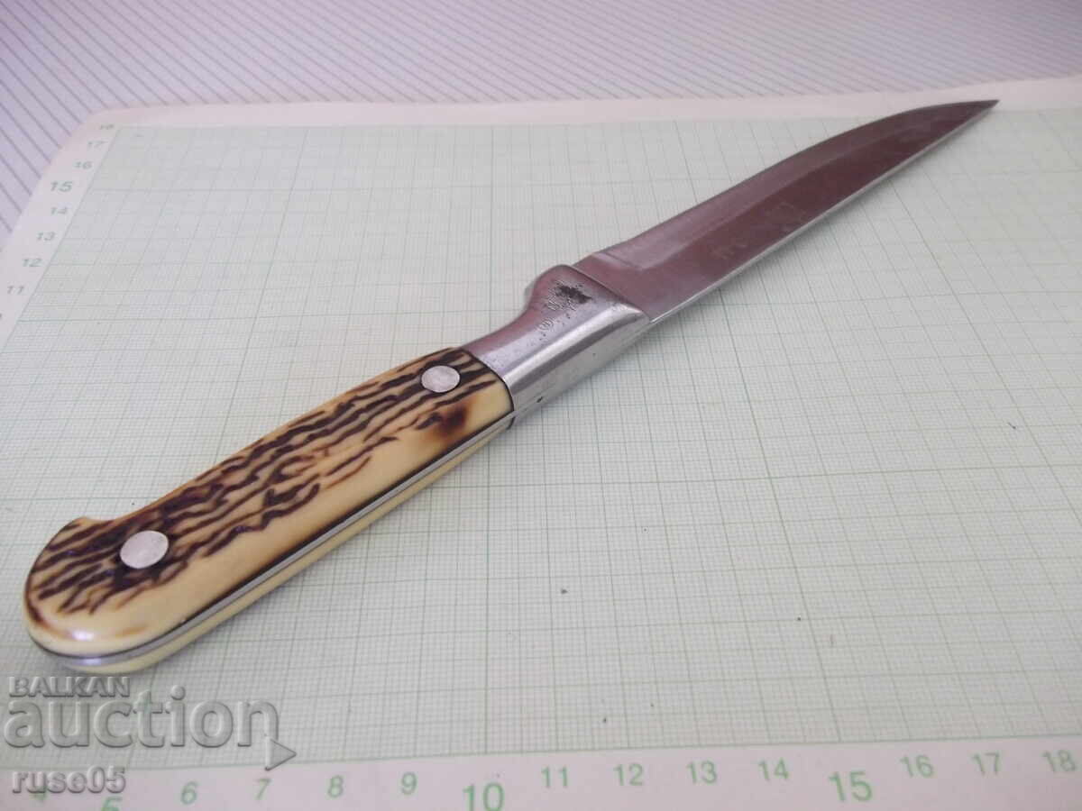 Μαχαίρι "HONG LI" - 1 - 6 Μαχαίρι "HONG LI" - 1 - 6