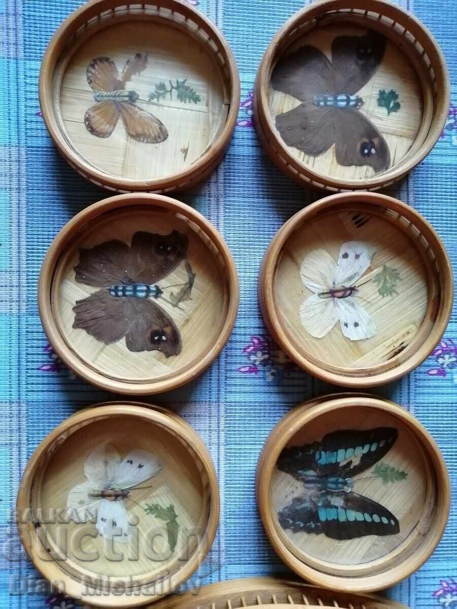Bamboo Set with Butterflies - 6 Bamboo Set with Butterflies - 6