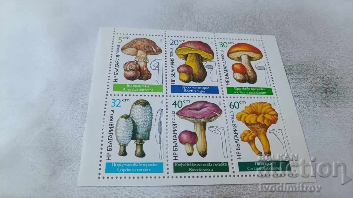 Γραμματόσημα Λ.Δ. Βουλγαρίας Μανιτάρια Διάτρητα 1987 Γραμματόσημα Λ.Δ. Βουλγαρίας Μανιτάρια Διάτρητα 1987