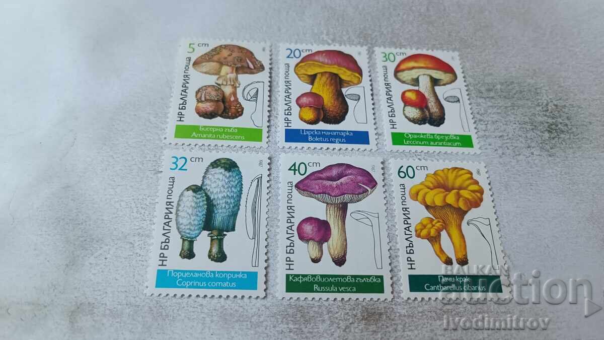 Postage stamps NRB Mushrooms 1987 Postage stamps NRB Mushrooms 1987