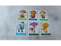 Postage stamps NRB Mushrooms 1987