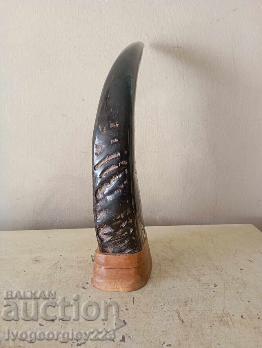 Horn for decoration with price 38.00 BGN | € 19.43