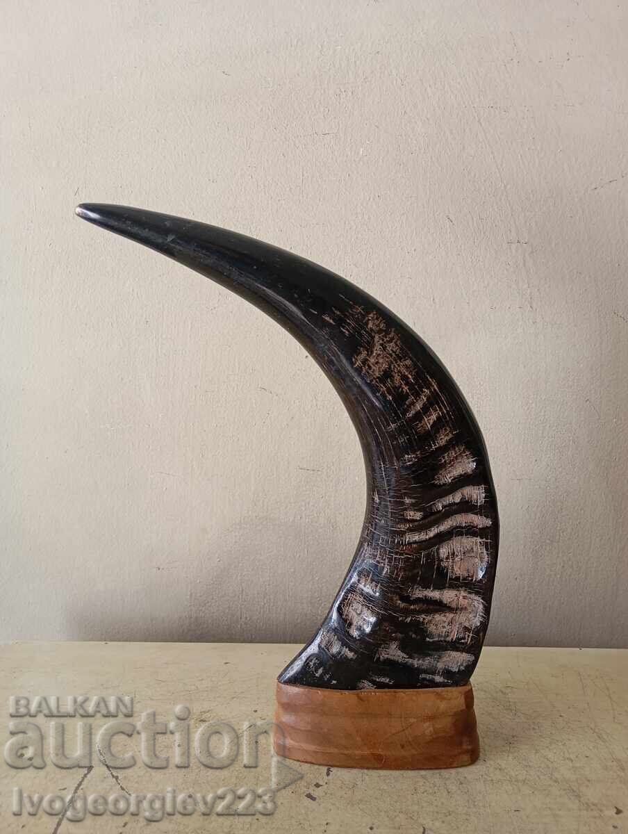 Horn for decoration