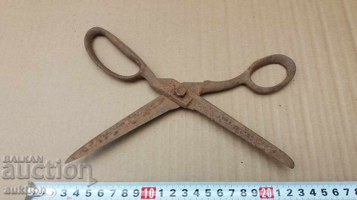 FOARCICA VECHIA ABADI - 6 FOARCICA VECHIA ABADI - 6