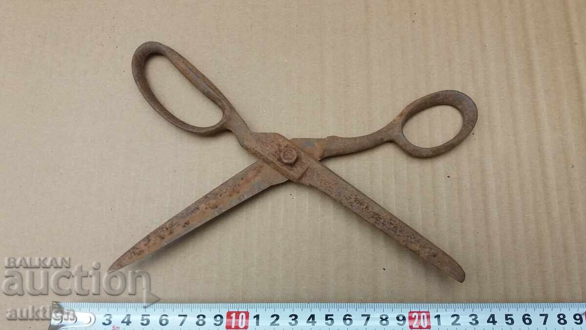 FOARCICA VECHIA ABADI - 7 FOARCICA VECHIA ABADI - 7