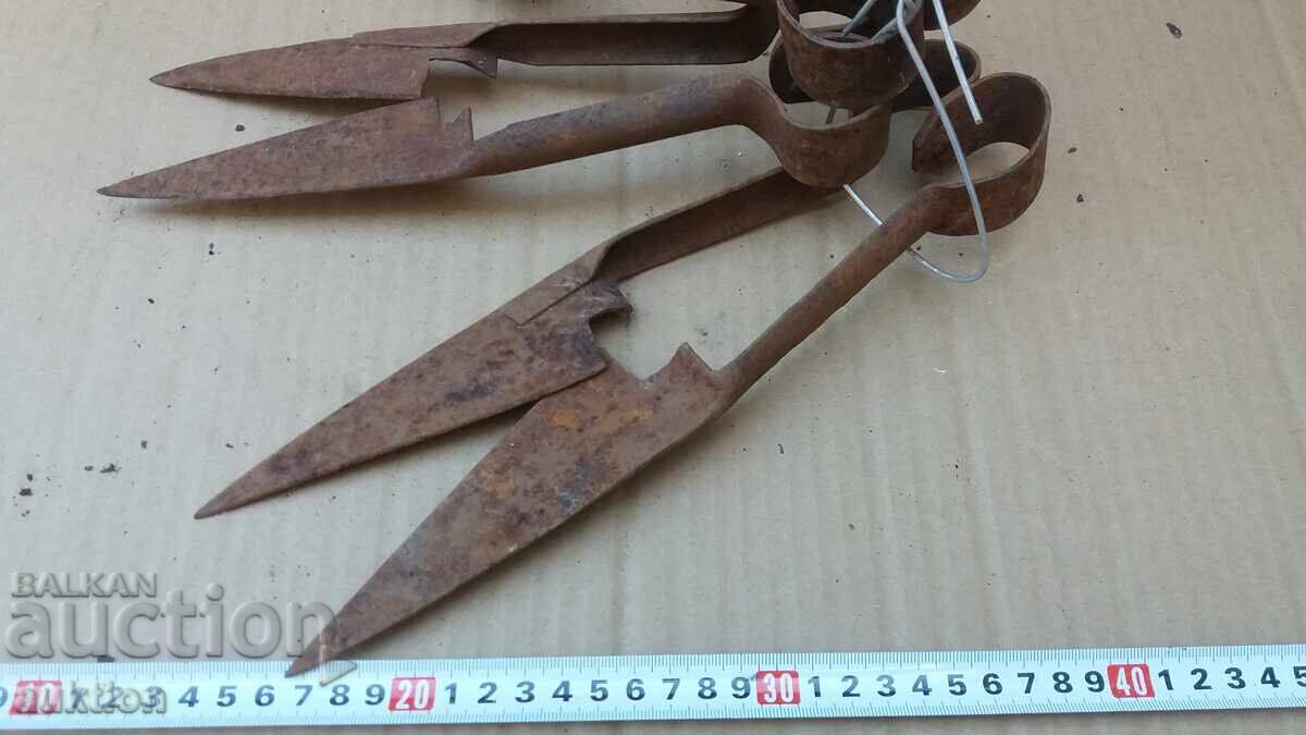 Auction  Set of 3 Sheep Shearing Scissors
