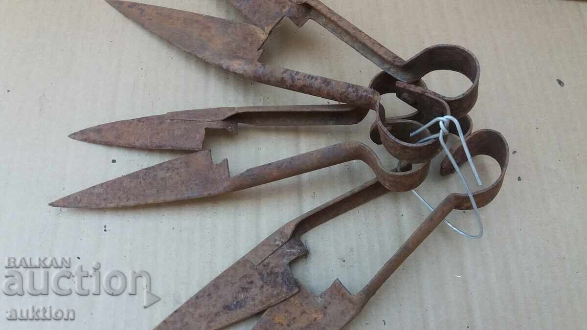 Delivery of Set of 3 Sheep Shearing Scissors
