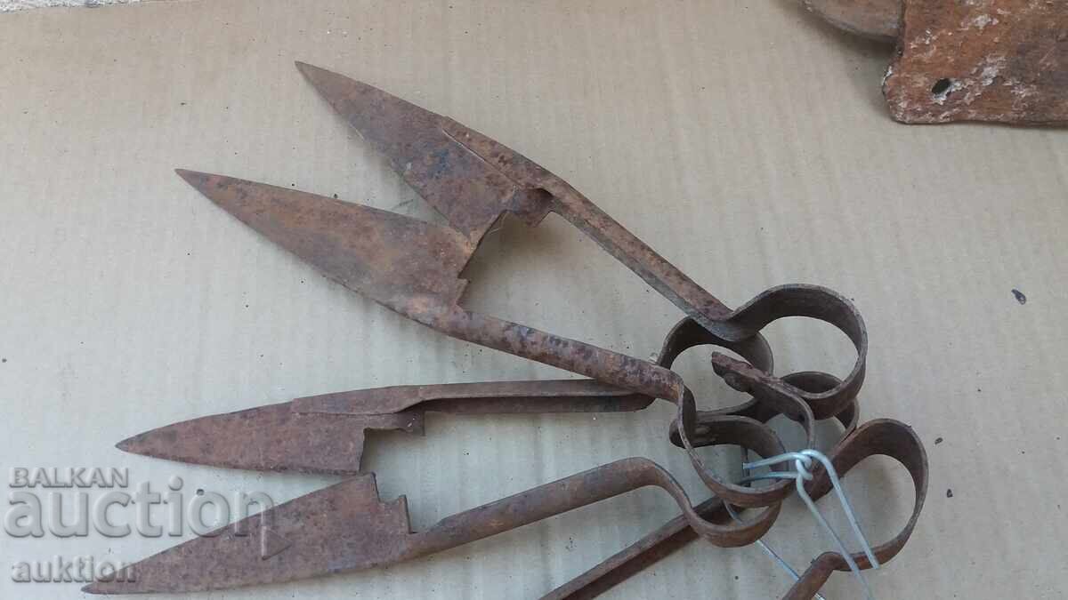 Set of 3 Sheep Shearing Scissors - 5