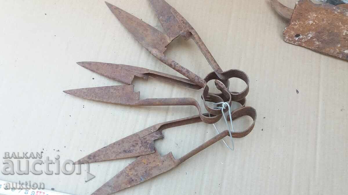 Set of 3 Sheep Shearing Scissors - 6