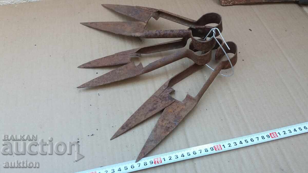 Set of 3 Sheep Shearing Scissors - 7