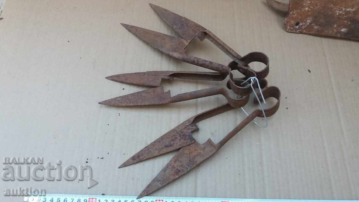 Set of 3 Sheep Shearing Scissors