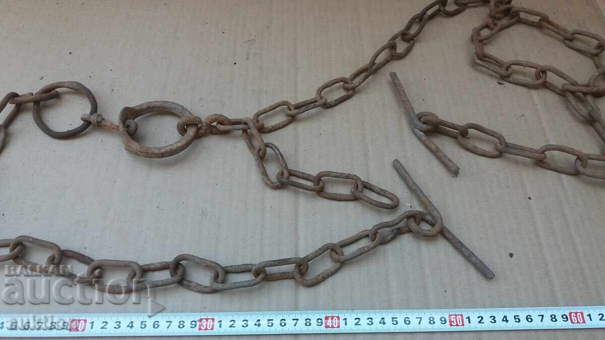 Heavy Animal Chain - 5 Heavy Animal Chain - 5