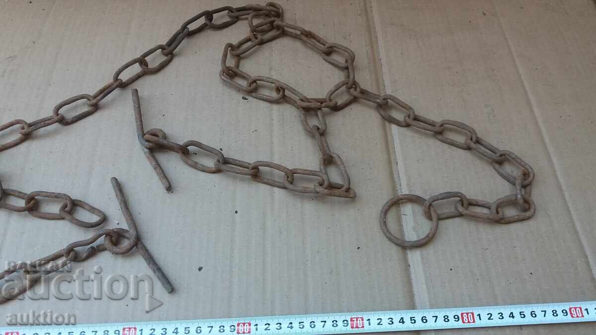 Heavy Animal Chain - 7 Heavy Animal Chain - 7