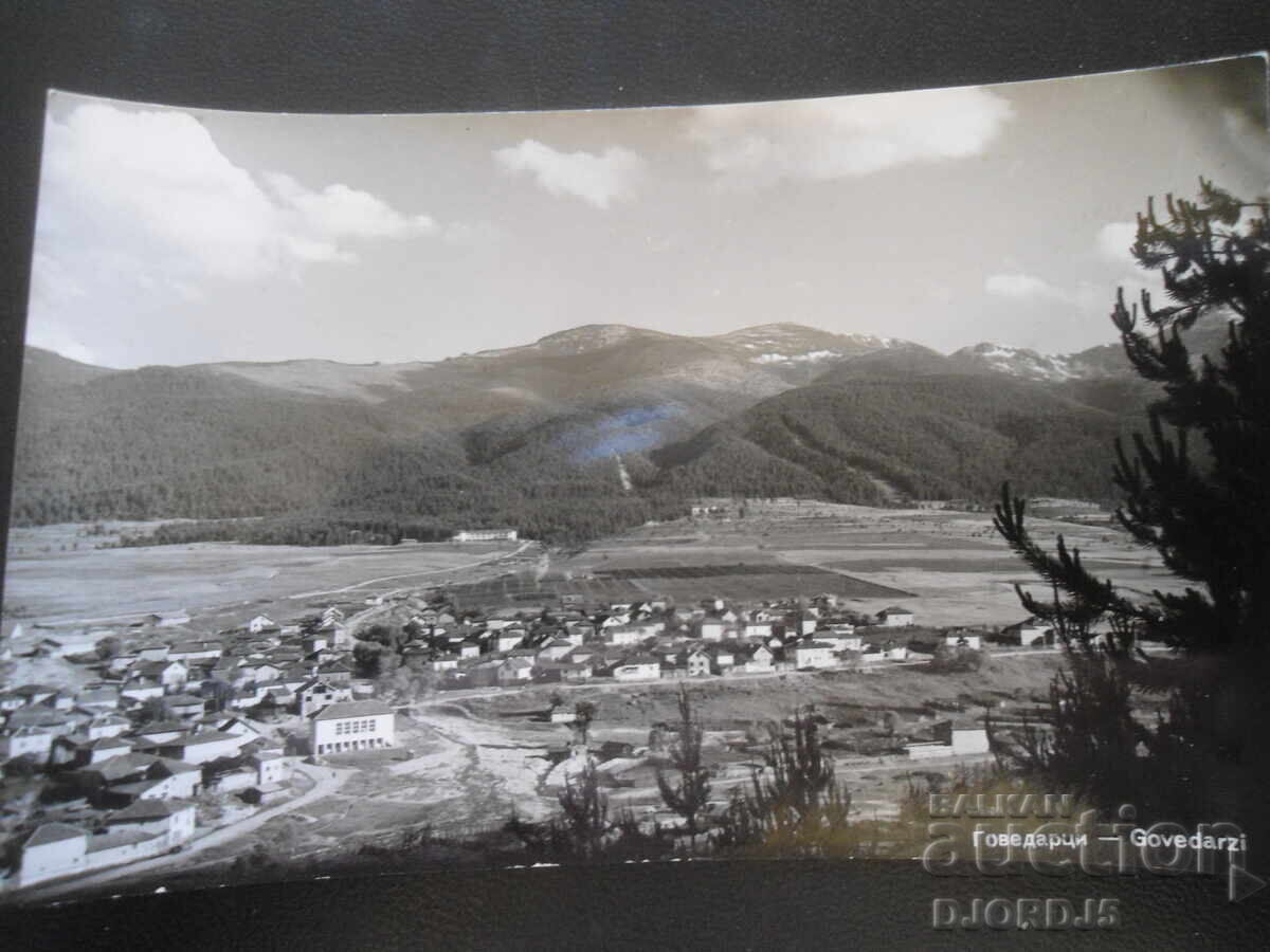 Παλιά φωτογραφία, Γοvedartsi Παλιά φωτογραφία, Γοvedartsi