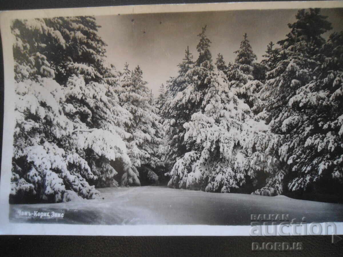 Chamŭ-Koriya Zime, "Gr. Paskovŭ" Sofiya, 1940 g., Carte poștală veche