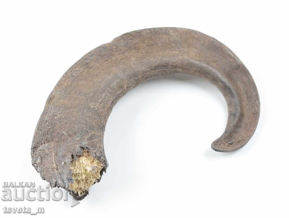 Auction  Animal Horn