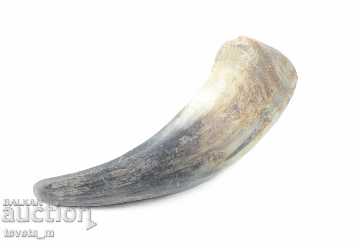 Animal Horn with price 8.00 BGN | € 4.09 Animal Horn with price 8.00 BGN | € 4.09
