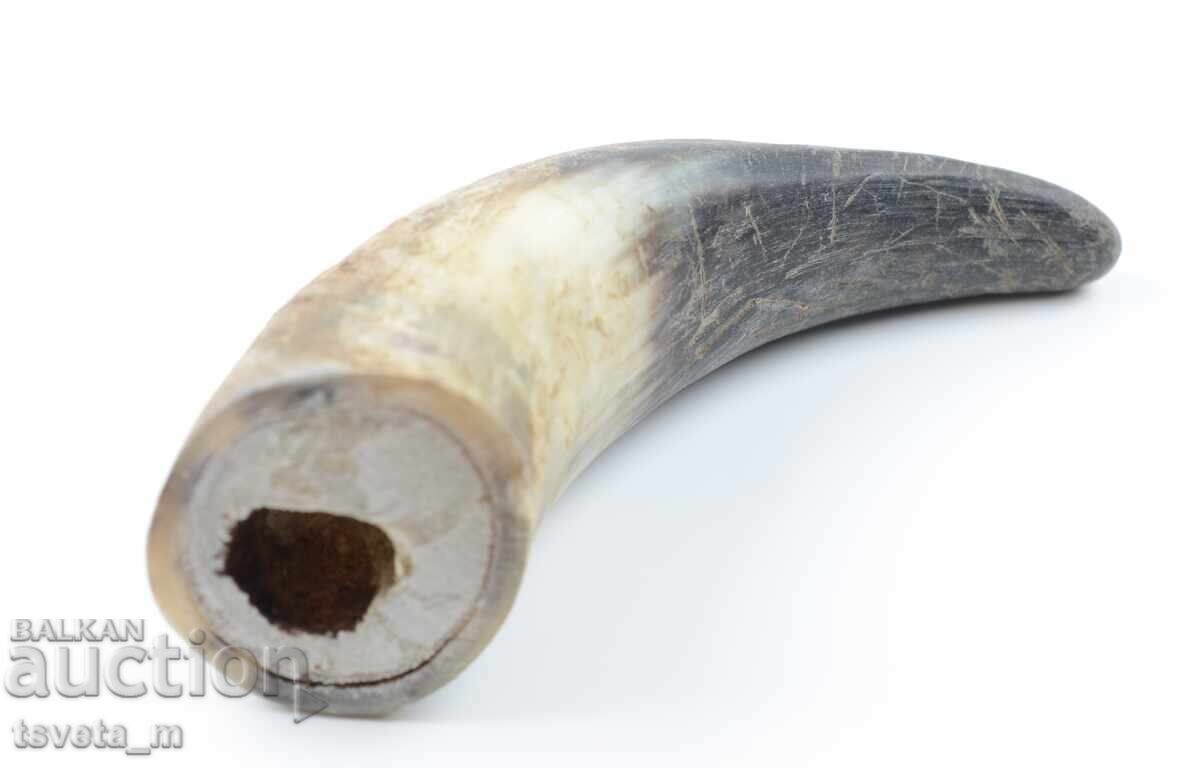 Delivery of Animal Horn Delivery of Animal Horn