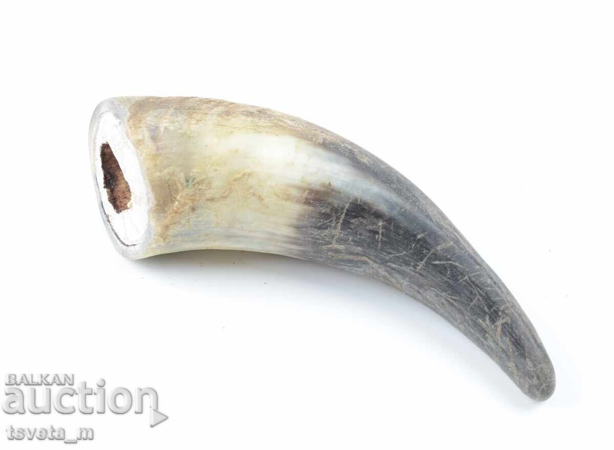 Animal Horn - 5 Animal Horn - 5