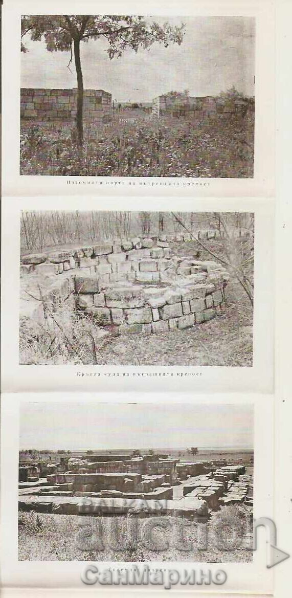 Δημοπρασία Διπλόκλωνο Πλίσκα