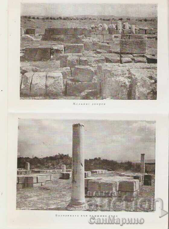 Παράδοση Διπλόκλωνο Πλίσκα