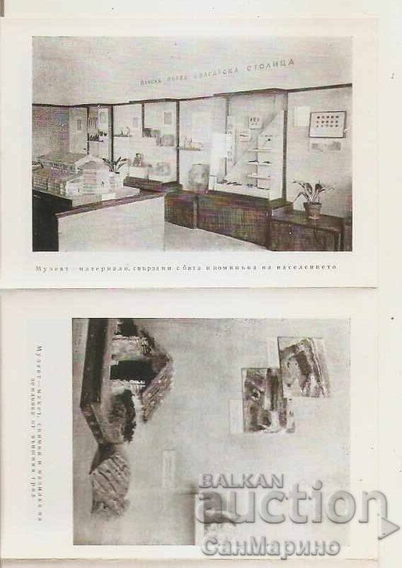 Διπλόκλωνο Πλίσκα - 5