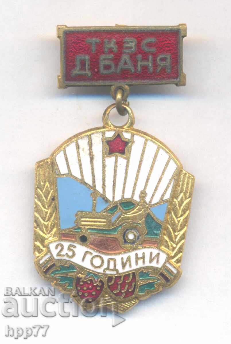Rare Sign 25 Years TKZS D. Banya Enamel Rare Sign 25 Years TKZS D. Banya Enamel